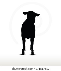 Vector Image - sheep silhouette with walking pose isolated on white background
