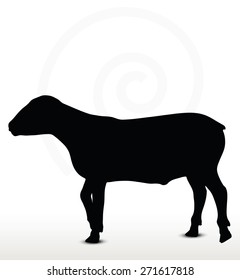 Vector Image - sheep silhouette with walking pose isolated on white background