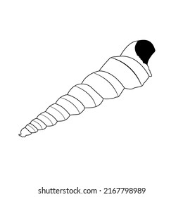 Vector image of a shell in doodle style. Isolated illustration of a shell in black and white