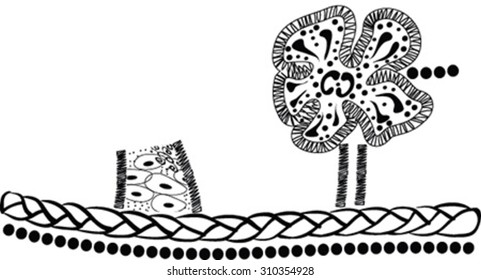 The vector image of shoes with ornament
