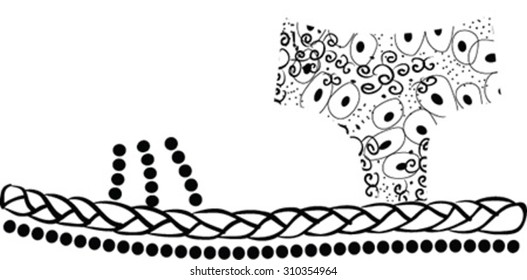 The vector image of shoes with ornament