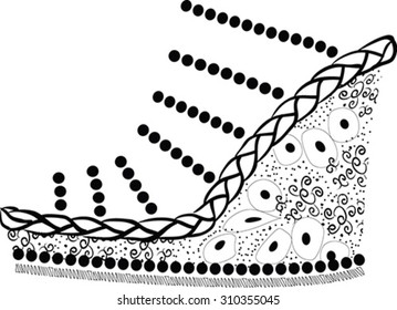 The vector image of shoes with ornament