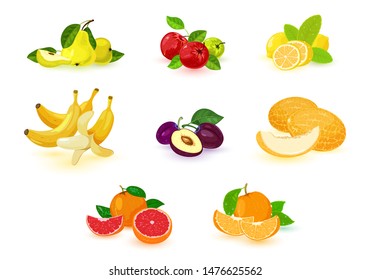 Vector image shows set of different colorful examples of tropical and local fruits isolated illustration