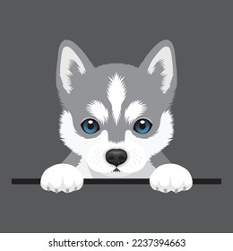 Vector image of a Siberian Husky grey dog. Cute puppy