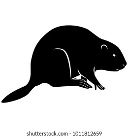 Vector image of a silhouette of a beaver on a white background