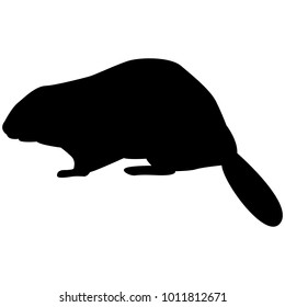 Vector image of a silhouette of a beaver on a white background