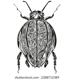 Imagen vectorial de la silueta de un escarabajo sobre un fondo blanco, escarabajos
