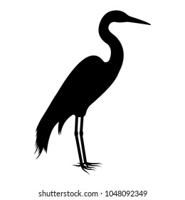 Vector image of the silhouette of the birds of the heron