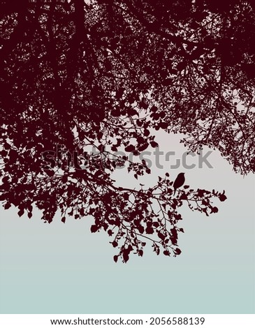 Similar – Image, Stock Photo orange sky Tree Pink