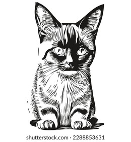 Vector image of silhouette of a Cat on a white background, kitten
