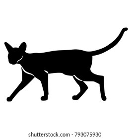 Vector image of a silhouette of a cat on a white background