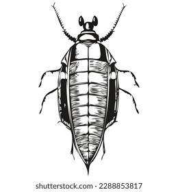Vector image of silhouette of a cockroach on a white background, cockroaches
