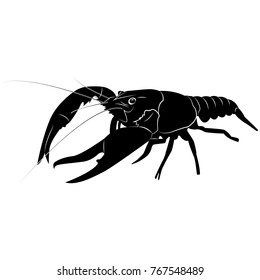 Vector image of silhouette of crawfish

