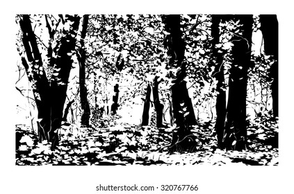 Vector image silhouette of deciduous forest, sunlit
