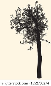 Vector image of silhouette of deciduous tree in cold season