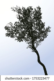 Imagen vectorial del árbol caducifolio de silueta contra el cielo azul