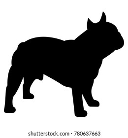 Vector image of a silhouette of a dog breeds a French bulldog on a white background