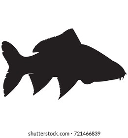 Vector image of a silhouette of fish