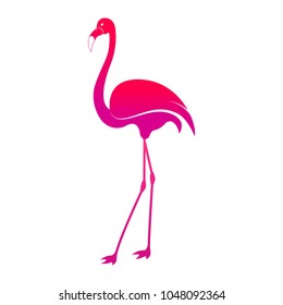 Vector image of a silhouette of a flamingo bird 