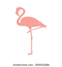 Imagen vectorial de una silueta de un pájaro flamingo sobre una pierna sobre un fondo blanco.