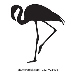 Vector image of a silhouette of a flamingo bird standing on one leg