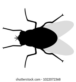 Vector image of a silhouette of a fly on a white background