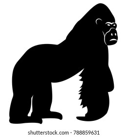 Vector image of a silhouette gorilla on a white background