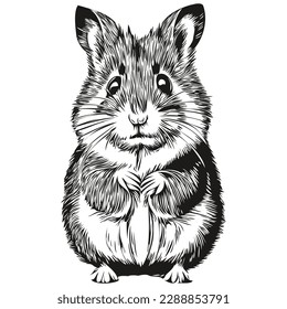 Vector image of silhouette of a hamster on a white background, hamsters
