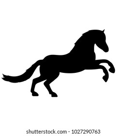 Vector image of a silhouette of a horse standing on the hind legs