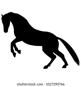 Vector image of a silhouette of a horse standing on the hind legs