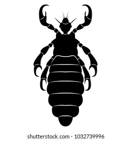 Vector image of silhouette of lice