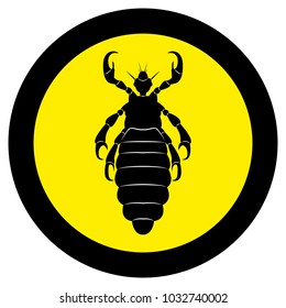 Vector image of silhouette of lice