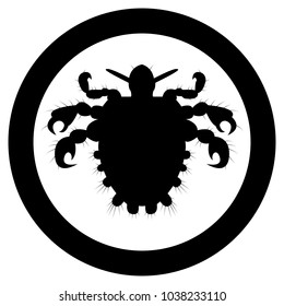 Vector image of silhouette of lice