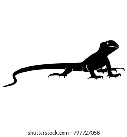 Vector image of silhouette of a lizard on a white background
