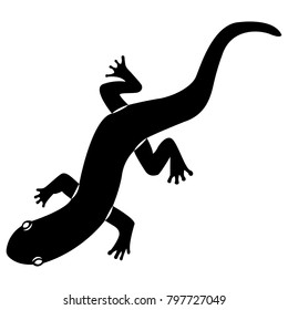 Vector image of silhouette of a lizard of salamanders on a white background