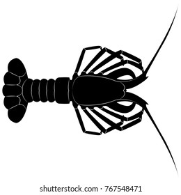 Vector image of the silhouette of the lobster