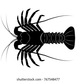 Vector image of the silhouette of the lobster