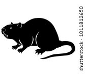 Vector image of silhouette of muskrat on a white background