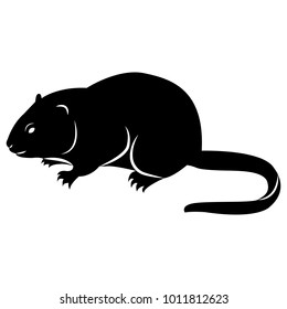 Vector Image Of Silhouette Of Muskrat On A White Background