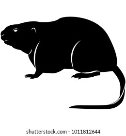 Vector Image Of Silhouette Of Muskrat On A White Background