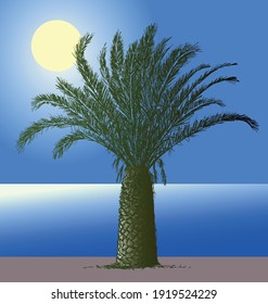 Vector image of silhouette palm tree on seashore in moonlit night
