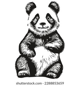 Vector image of silhouette of a Panda on a white background, Pandas
