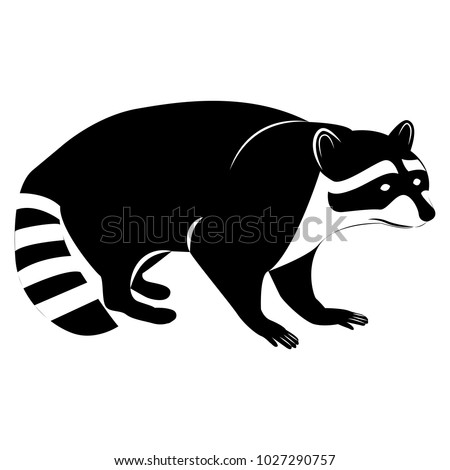 Download Vector Image Silhouette Raccoon On White Stock Vector ...