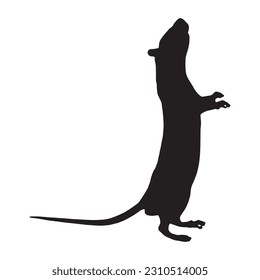 Vector image of a silhouette of a rat on a white background