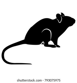 Vector image of a silhouette of a rat on a white background