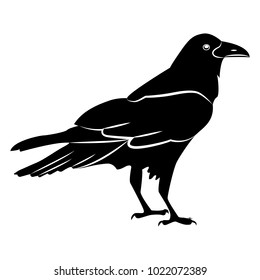 Vector image of a silhouette of a raven on a white background