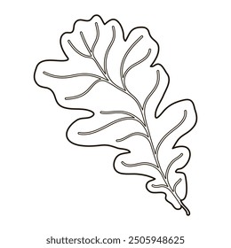 Vector image silhouette of a realistic shape of oak leave. Seasonal decorative background