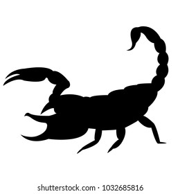 Vector image of a silhouette of a scorpion on a white background.