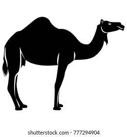 Vector image of the silhouette of a single-breasted camel