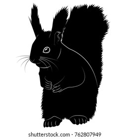 Vector image of silhouette of the squirrel